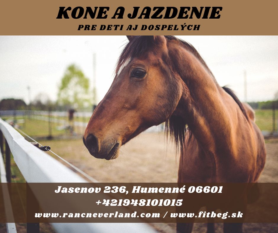 Ahojte, všetci priatelia koní (1)